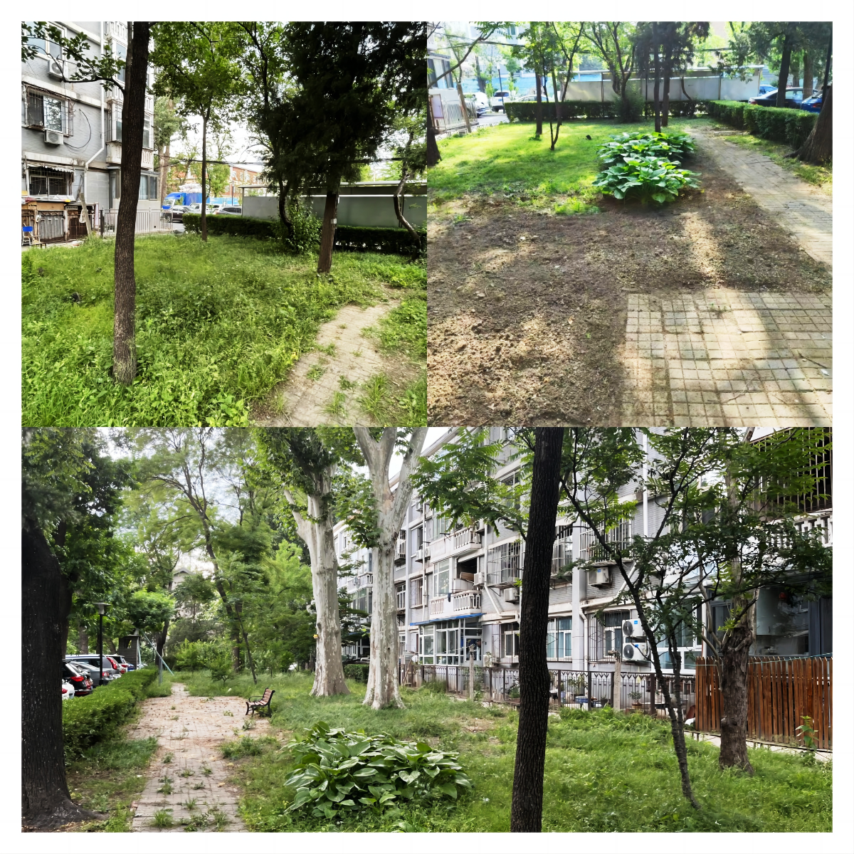 眷3,4号楼地块原貌.png