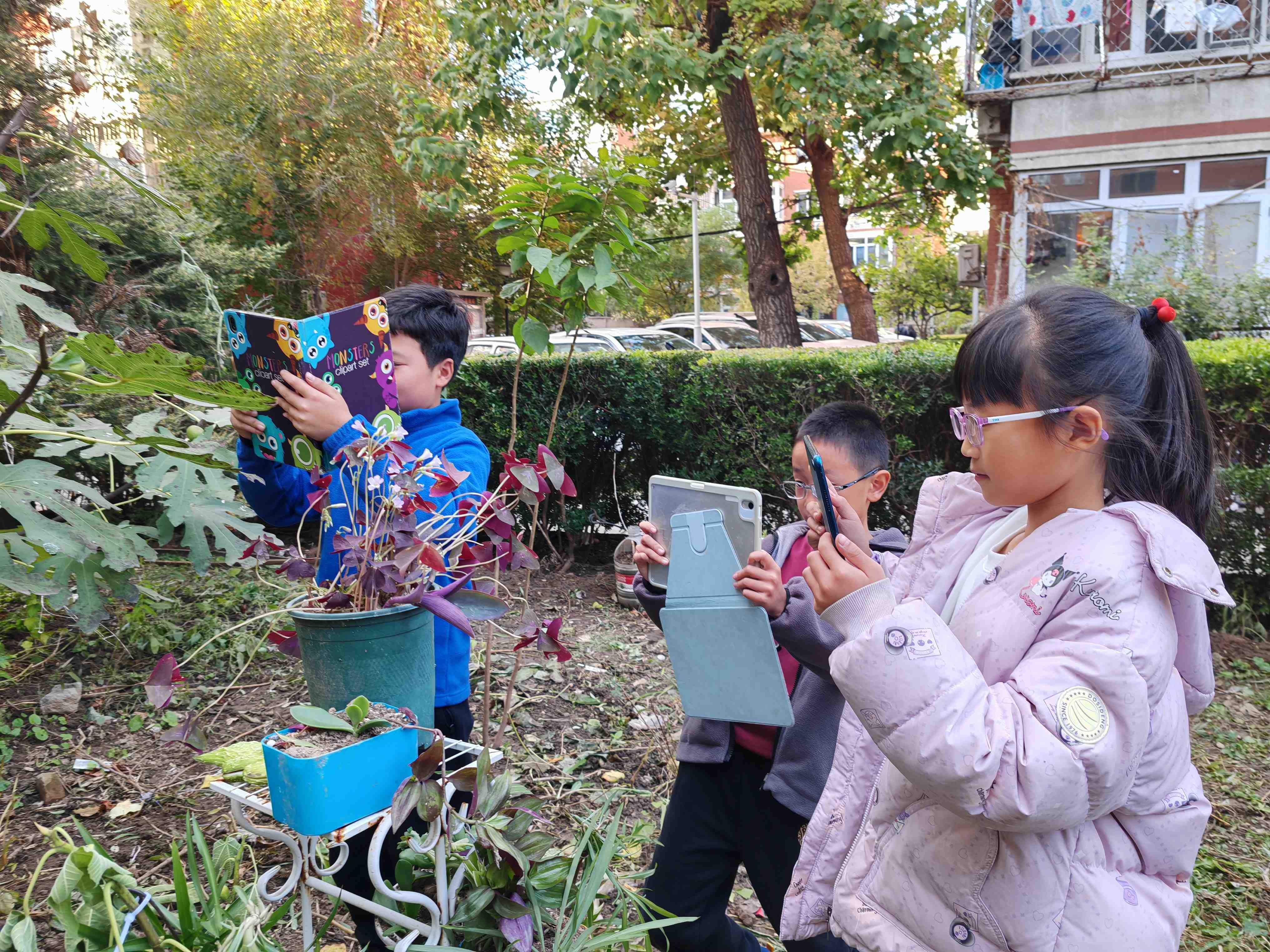 微信图片_20251102093632_629_291.jpg