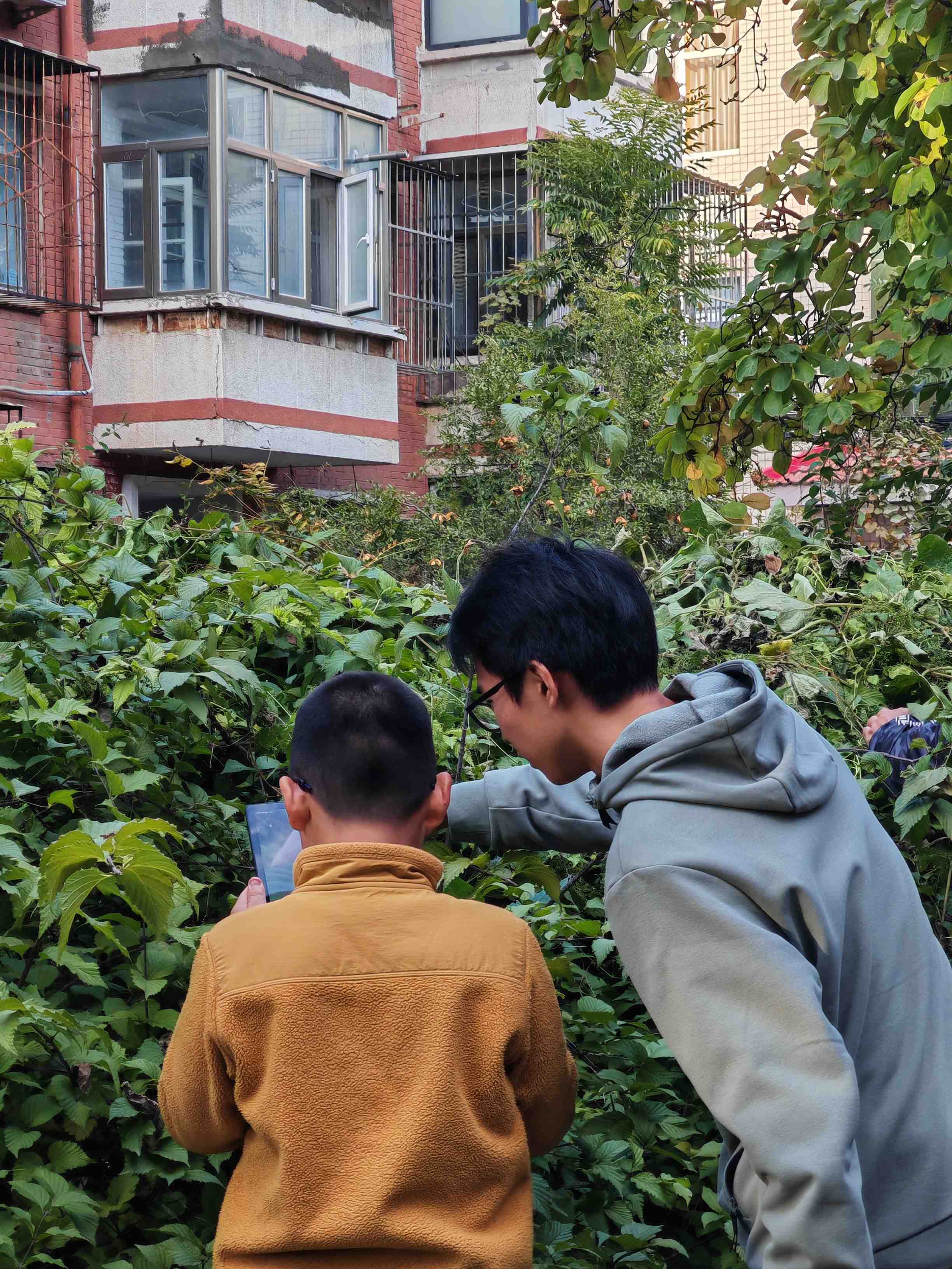 微信图片_20251102093628_627_291.jpg