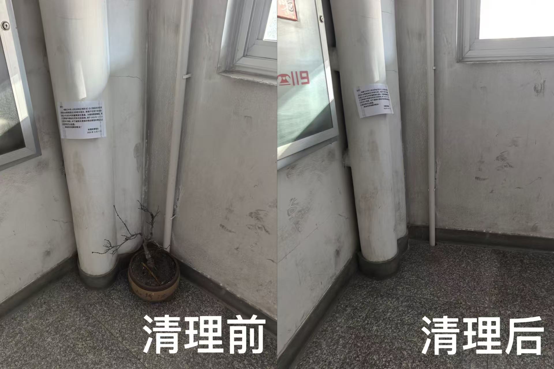 b4b8168499aefe0ceb74389d59521790.jpg