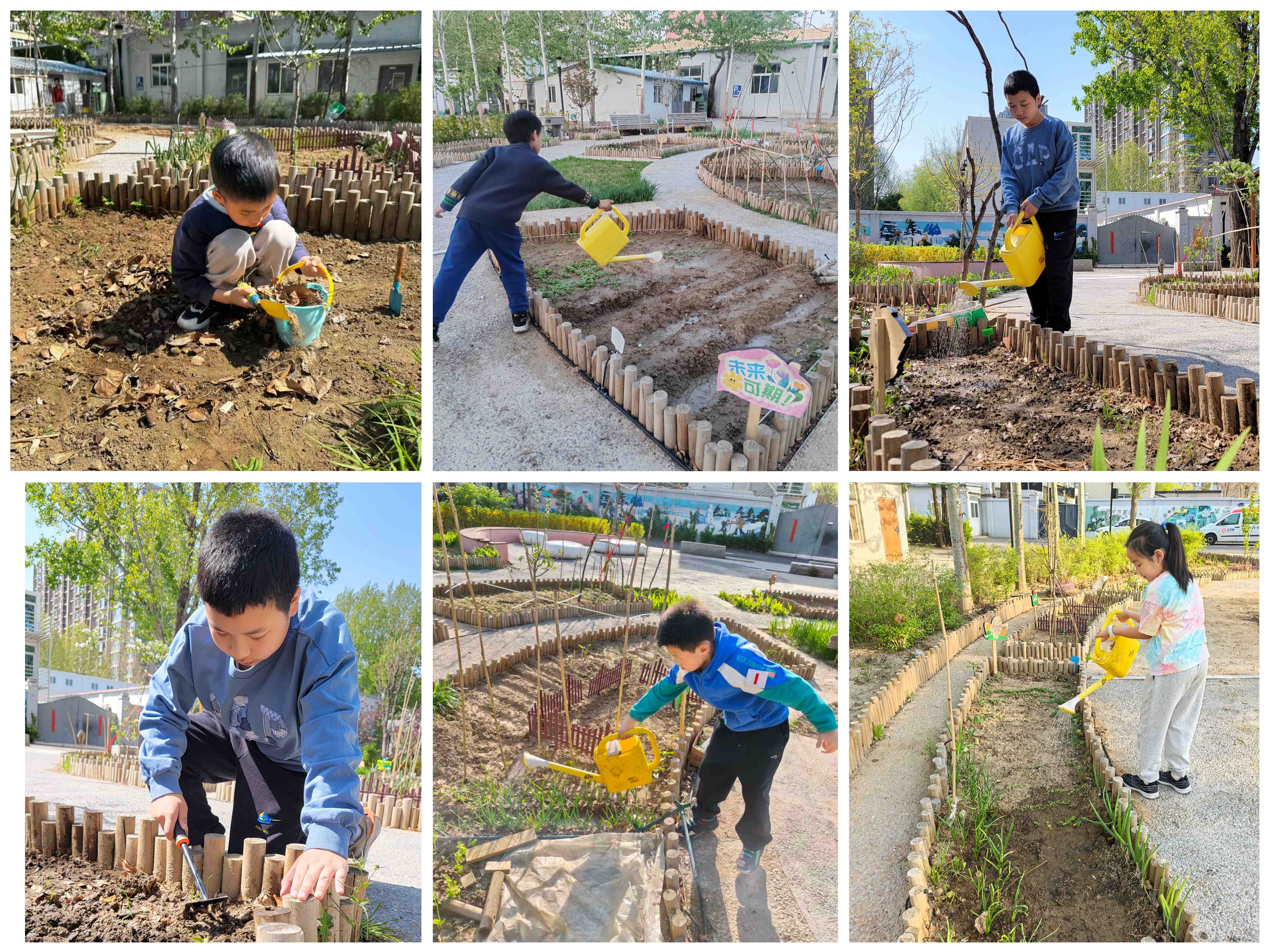 微信图片_20260420154403_1050_36.jpg