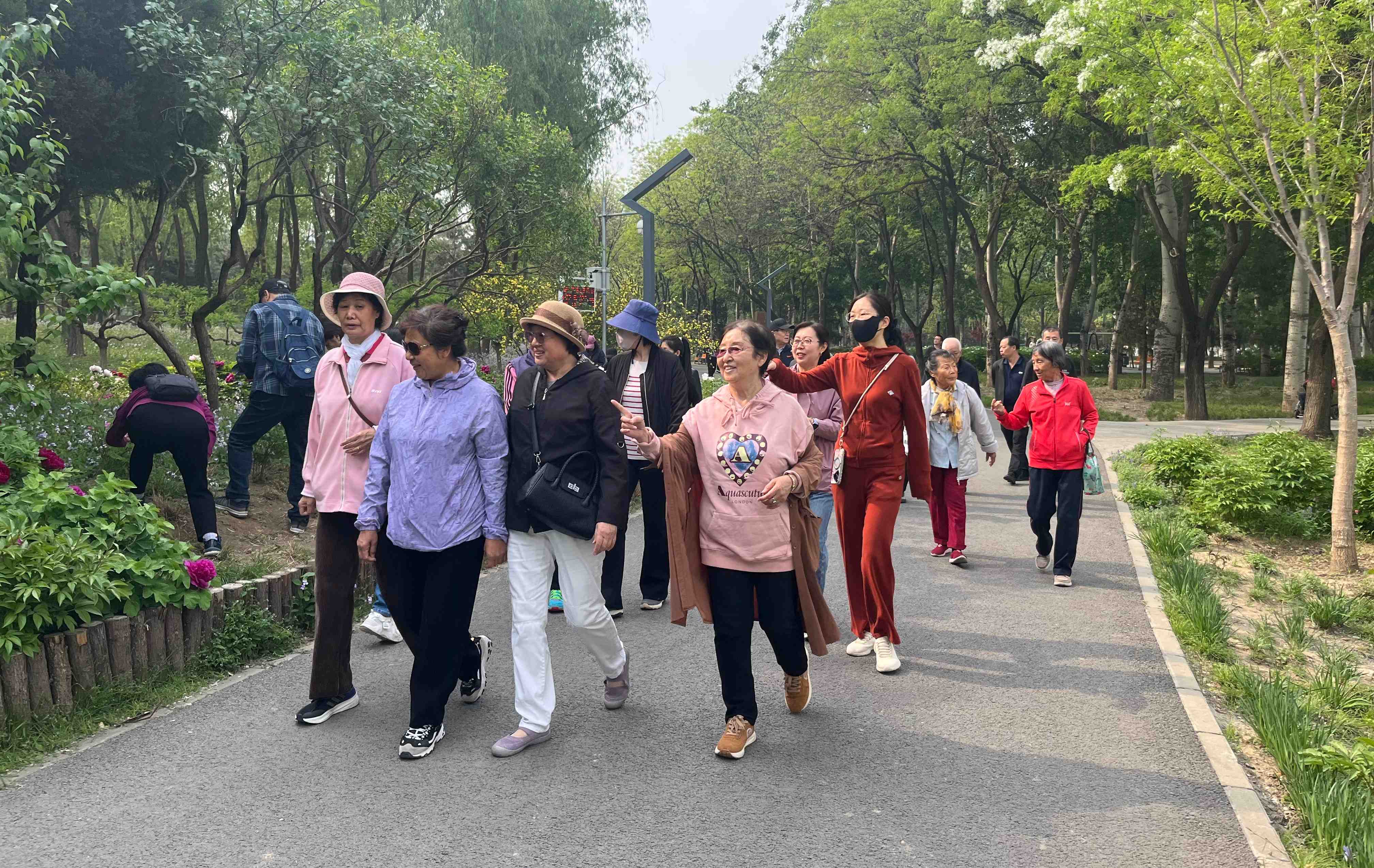 健步走2.jpg