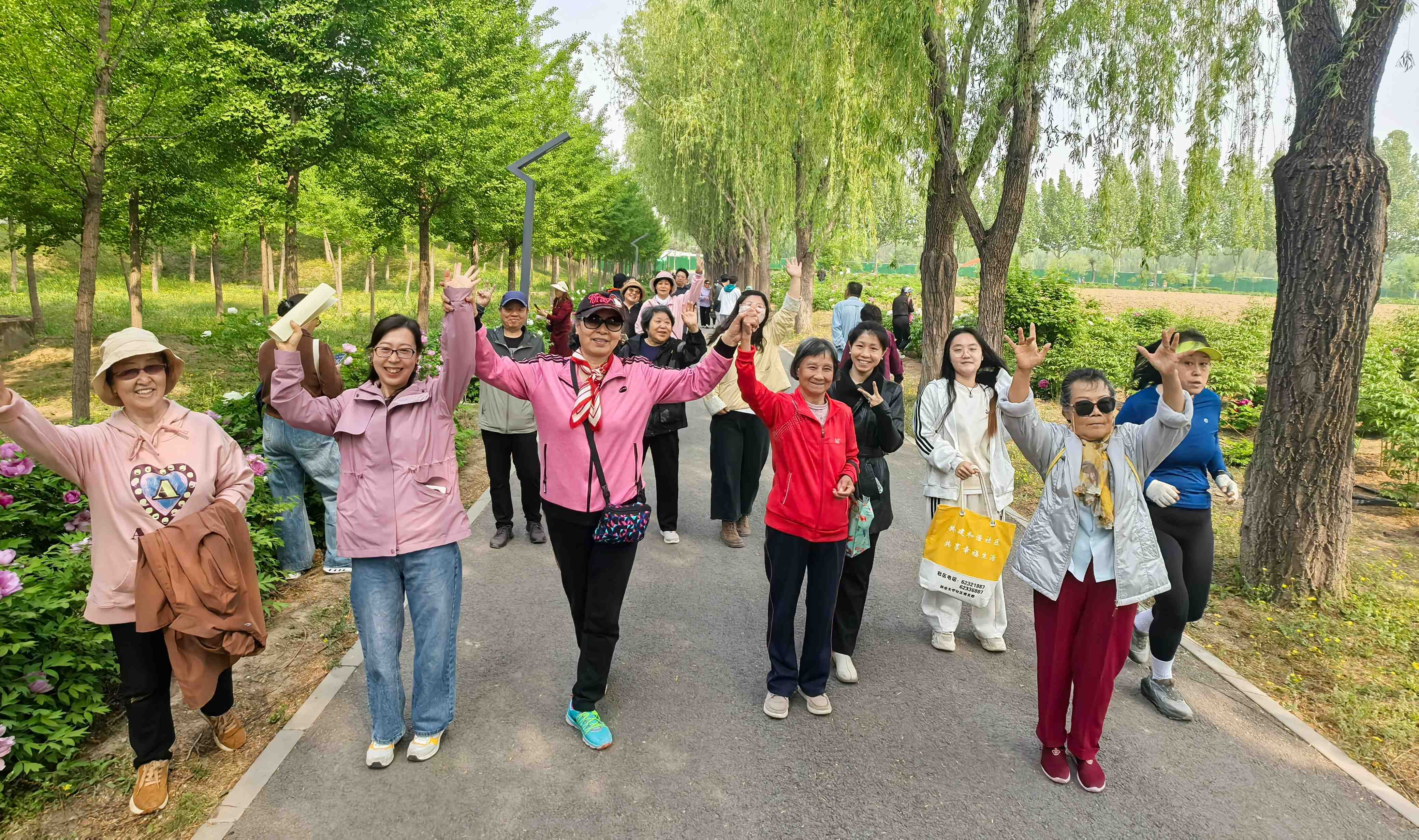 健步走1.jpg