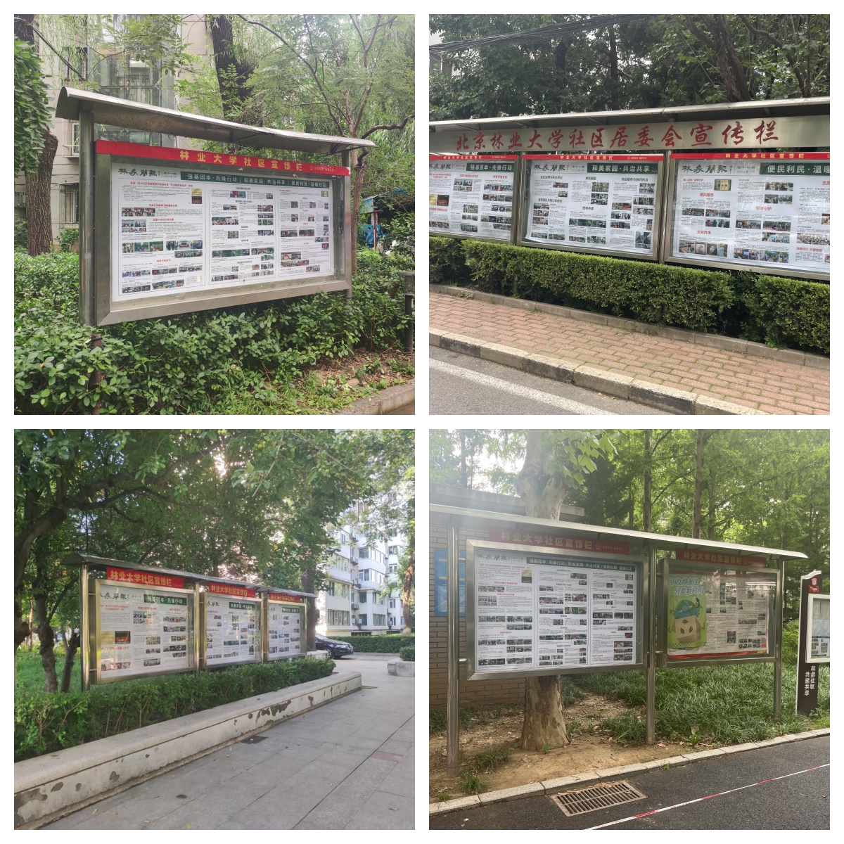 微信图片_20260723150119_1378_36_副本.jpg